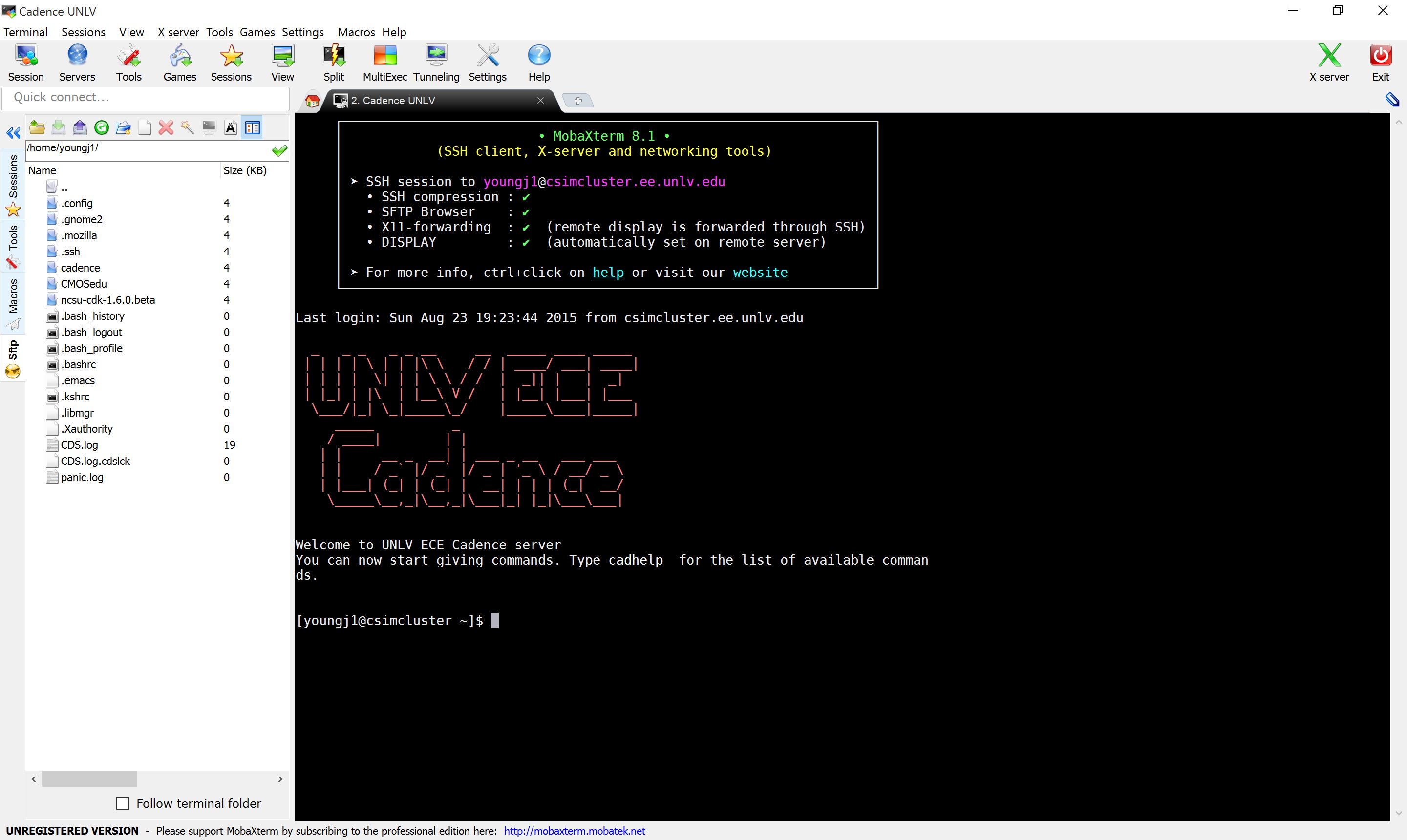 Cadence Login Window