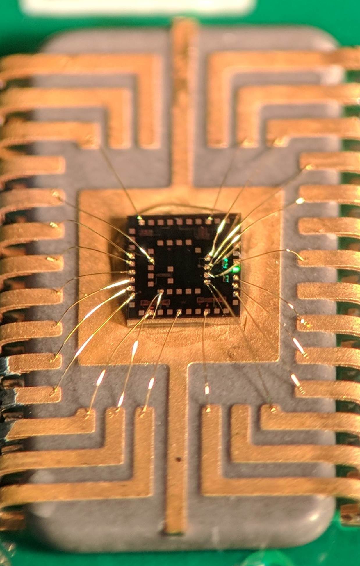 A picture containing room, food

Description automatically generated